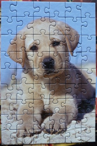 Ravensburger - 54 - little puppy - 75299.JPG (259.89 КБ) 1397 просмотров Ravensburger - 54 - little puppy - 75299.JPG