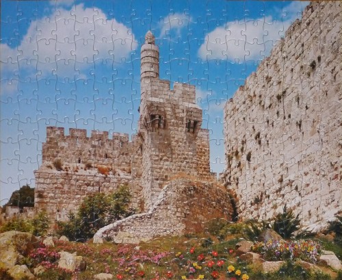 P1020741 копия.jpg