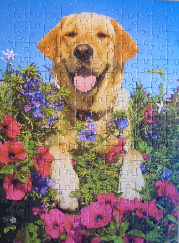 P1020933.JPG (2.62 МБ) 2214 просмотров P1020933.JPG