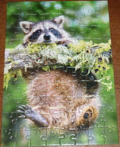 P1020678.jpg (1.98 МБ) 3008 просмотров P1020678.jpg