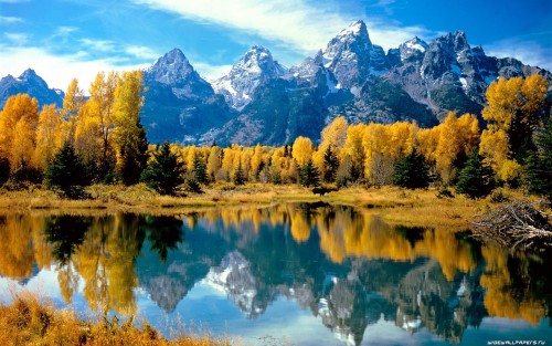 wide-wallpaper-1920x1200-003.jpg