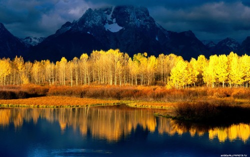 wide-wallpaper-1920x1200-038.jpg