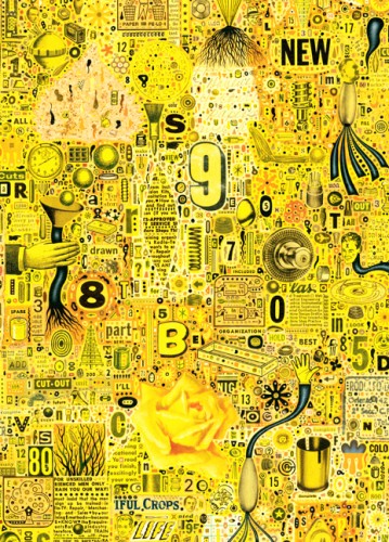 Colin Johson_Yellow.jpg