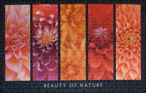 Ravensburger - 1000 - Beauty of Nature - 19046.JPG