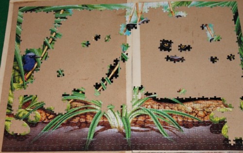 Пантеры 1.JPG