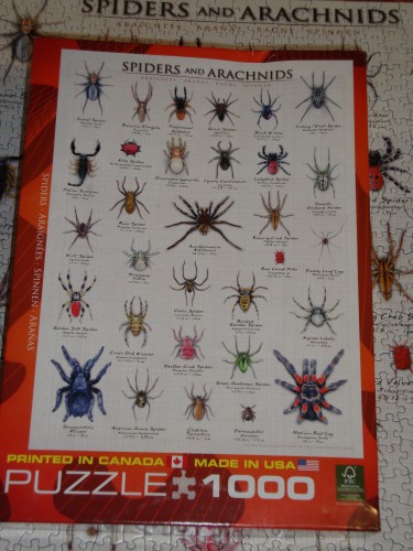Spiders And Arachnids коробка.jpg