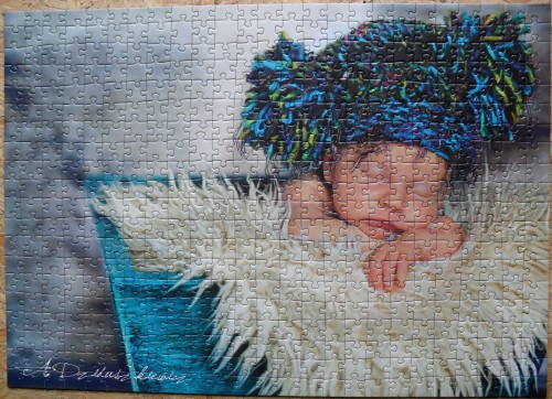 500.Trefl-Послеобеденный сон - собранный пазл.jpg