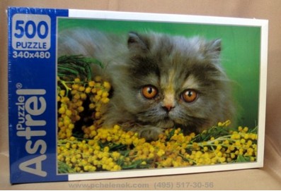 Кот перс.jpg
