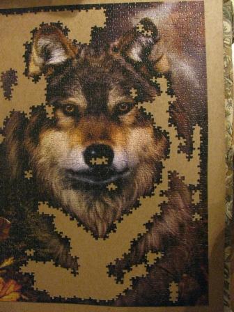 IMG_1461.jpg