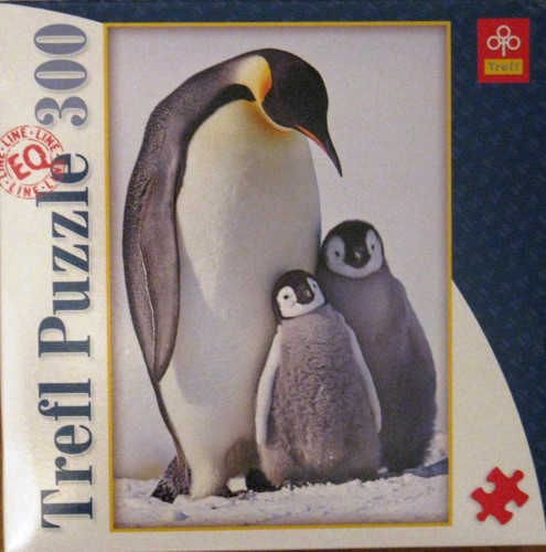 Изображение 399.jpg