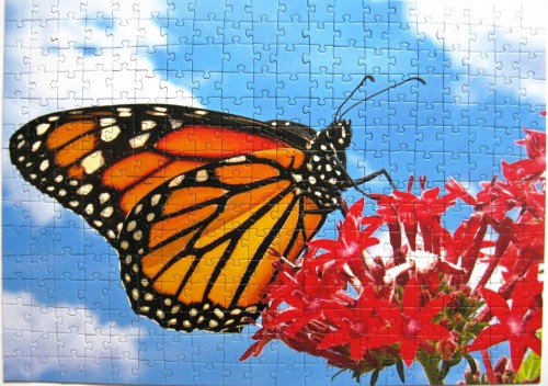 Изображение 402.jpg