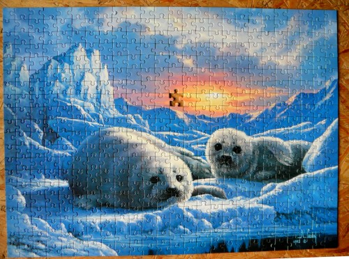 500.Ravensburger-Детеныши тюленей в вечных льдах(собранный пазл).jpg