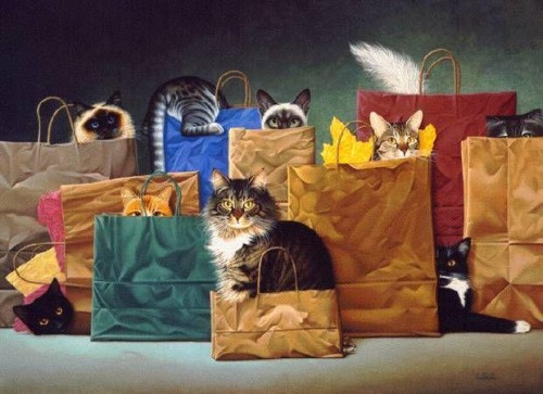 Кошки в пакете.jpg