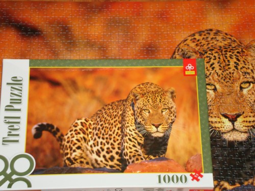 Leopard коробка.jpg