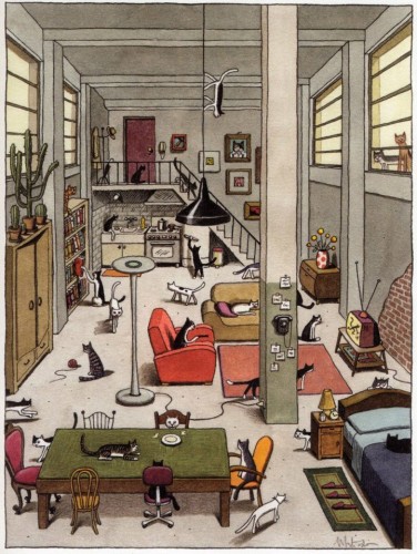 картинки-котэ-ответ-в-каментах-310983.jpeg