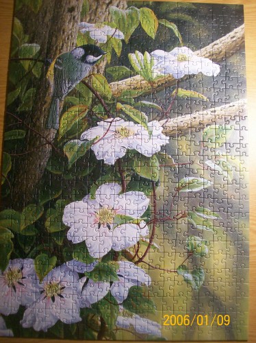 100_1739.JPG (814.52 КБ) 5082 просмотра 100_1739.JPG