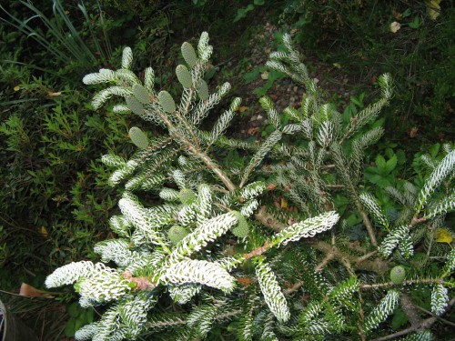 a_IMG_5673.jpg