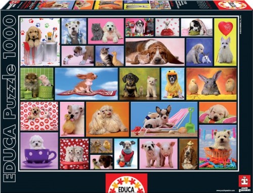 Educa - 1000 - Shared moments - 15518 - box.jpg