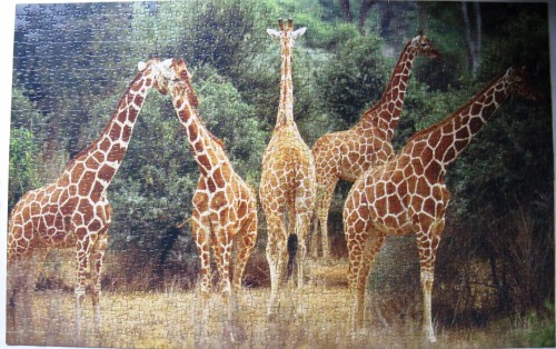 Изображение 111.jpg (1019 КБ) 6995 просмотров Изображение 111.jpg