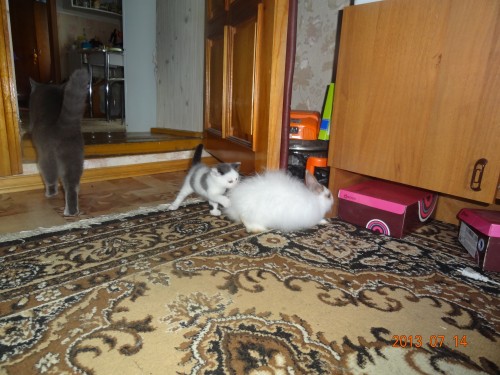 DSC05218.JPG