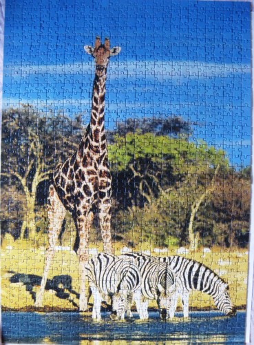 Изображение 499.jpg