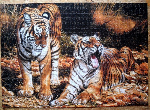 1000.Gibsons- Сын и преемник(собранный пазл).jpg