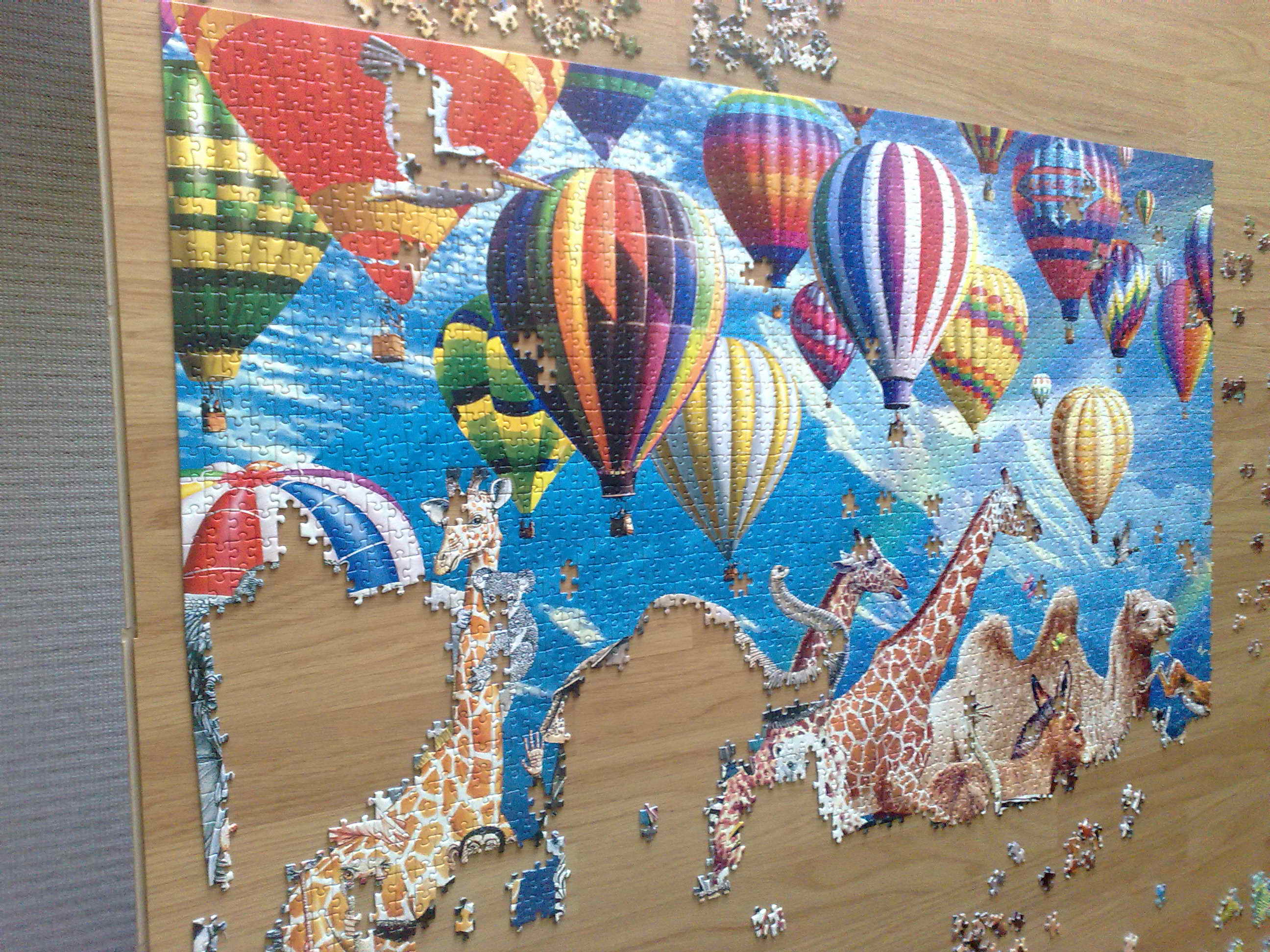 12082010996.jpg