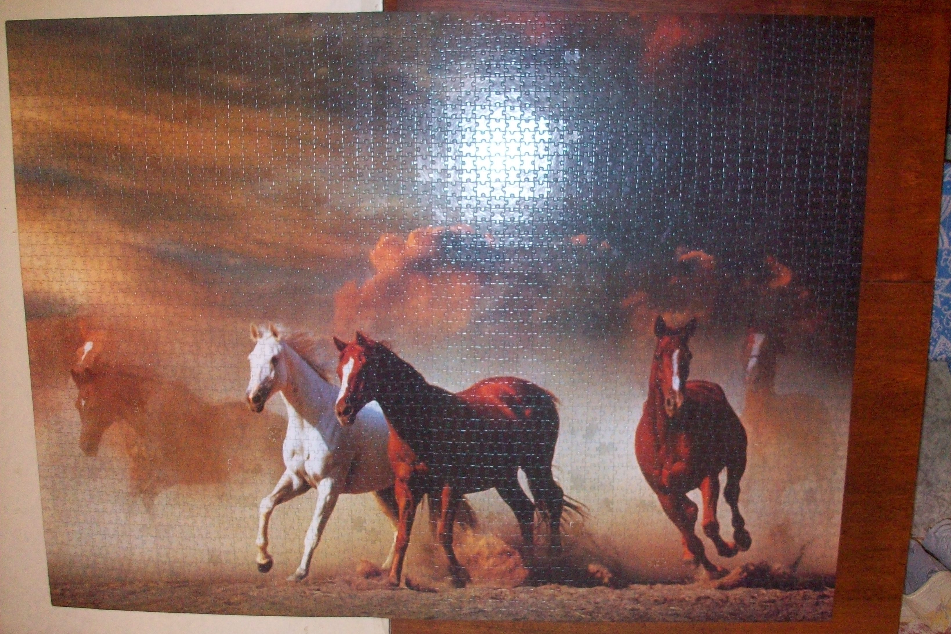 100_9057.JPG