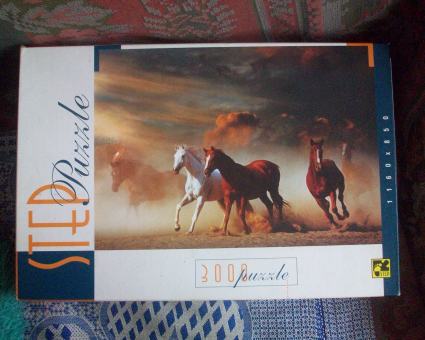 100_9059.JPG