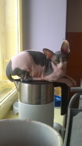 2012-09-01-294.jpg