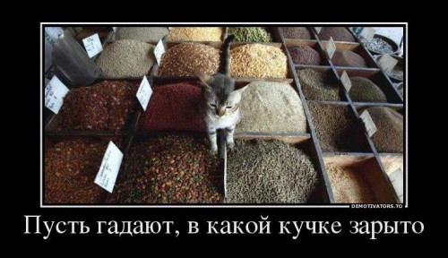 jVfMoljS6yo.jpg (77.45 КБ) 2386 просмотров jVfMoljS6yo.jpg