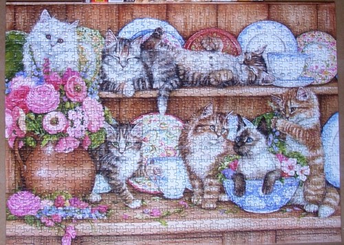 Kittens Debbie Cook-1000-Anatolian.jpg