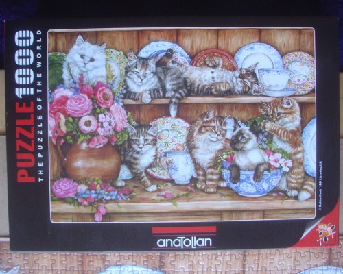 Kittens Debbie Cook-1000-Anatolian-коробка.jpg