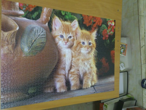 Red Kittens - Рыжие котята, 1500(С-150267).jpg