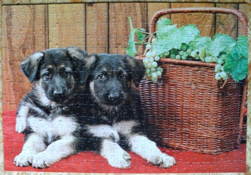360. Step-Щенки овчарки (собранный пазл).jpg