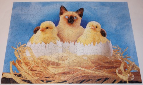 DSC08730.JPG (478.51 КБ) 1605 просмотров DSC08730.JPG