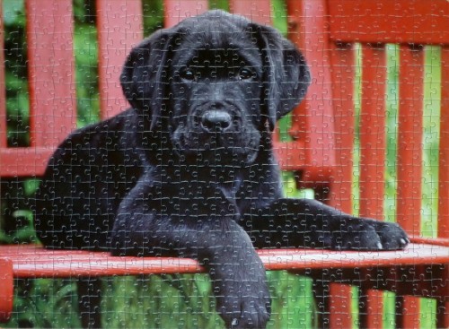 Clementoni - 500 - The Black Dog - 30346.jpg (567.1 КБ) 2843 просмотра Clementoni - 500 - The Black Dog - 30346.jpg