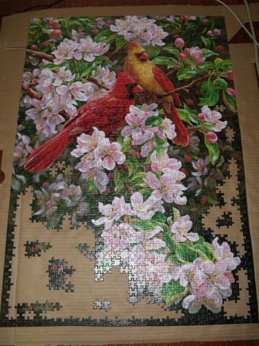 DSCF6548.JPG