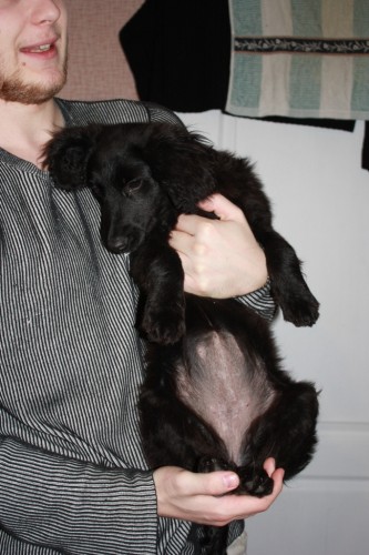 IMG_5085.jpg (401.7 КБ) 1269 просмотров IMG_5085.jpg