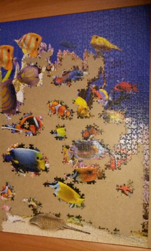 2014-01-14 20.07.20.jpg