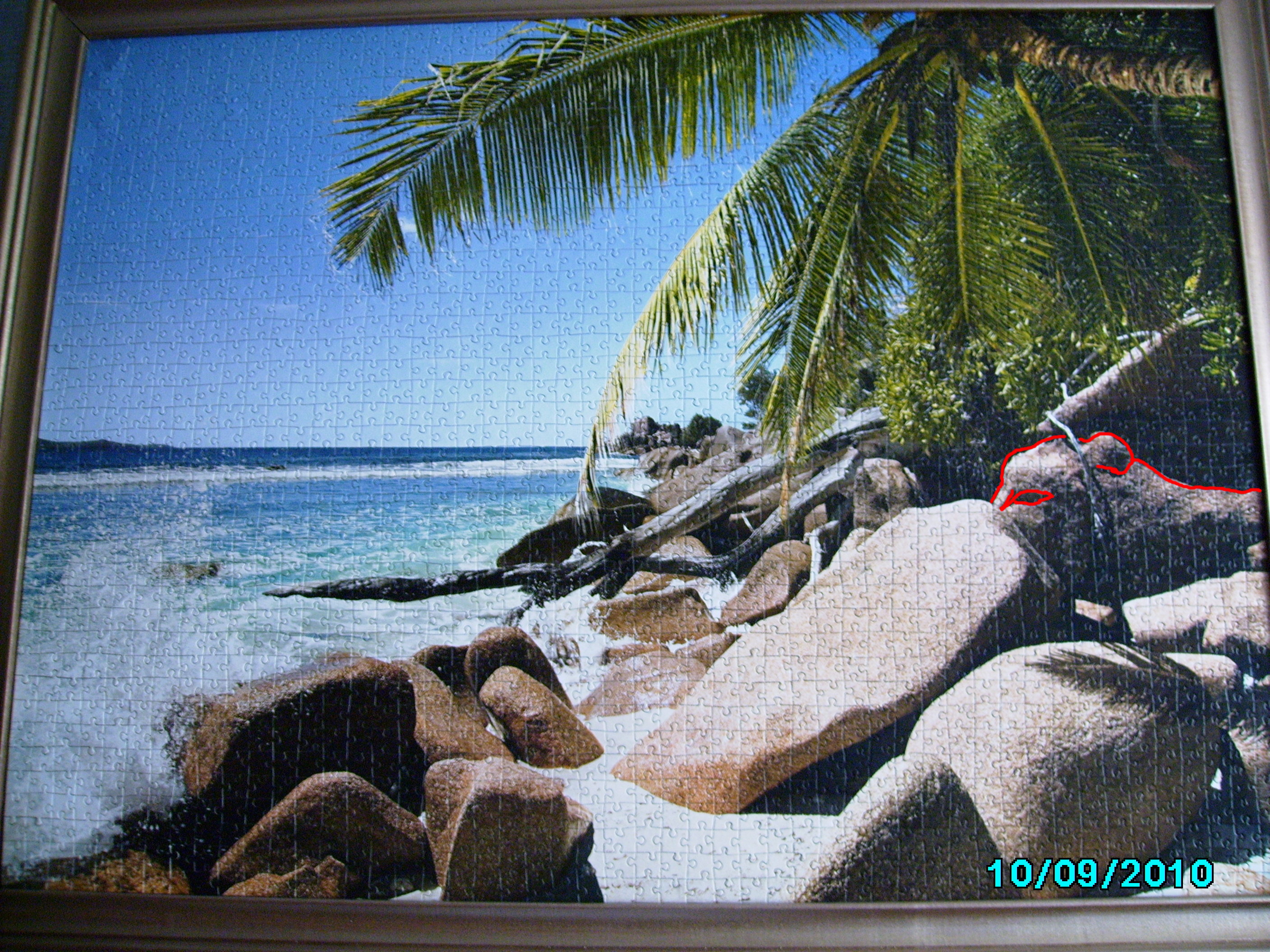 IMG_3574.JPG
