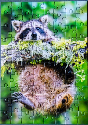 DSC_5191.jpg (484.6 КБ) 2597 просмотров DSC_5191.jpg