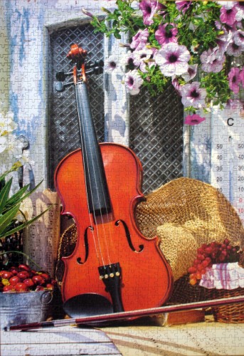 VIOLIN'S MELODY.jpg