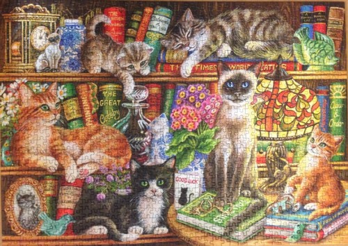 IMG_7001.JPG (281.48 КБ) 3112 просмотров IMG_7001.JPG