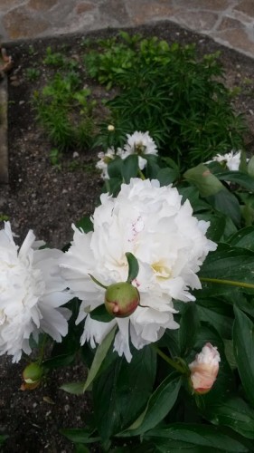 20140623_174857.jpg