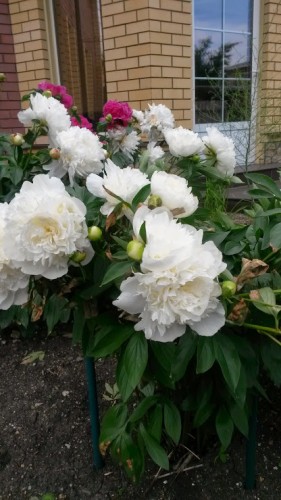 20140623_174820.jpg