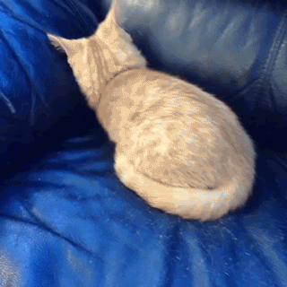 1403941247_987139603.gif