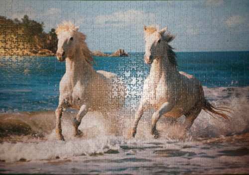 лошадки.jpg