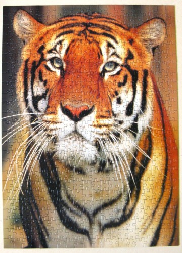 Изображение 1075.jpg