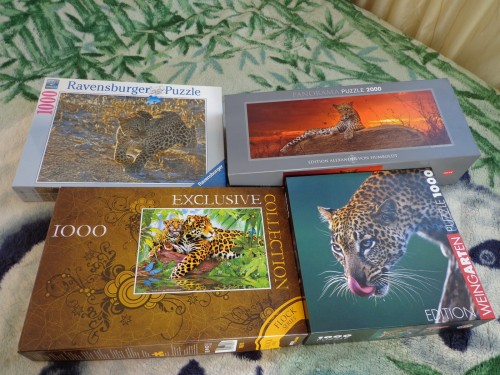 DSC00030.JPG (1022.33 КБ) 5801 просмотр DSC00030.JPG